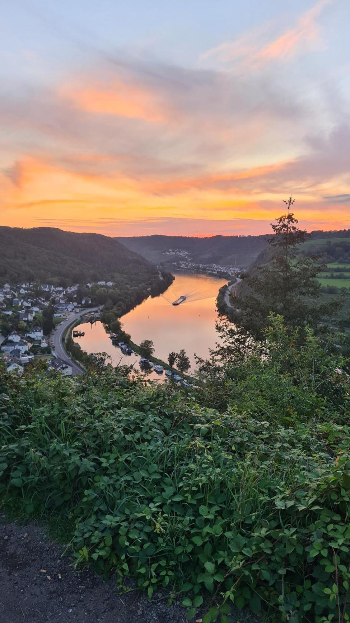 Pension Mit Moselblick Klotten Exteriör bild