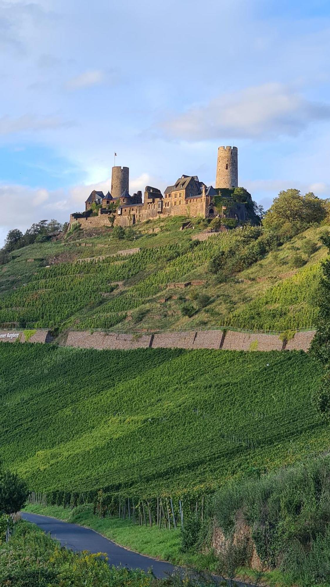 Pension Mit Moselblick Klotten Exteriör bild