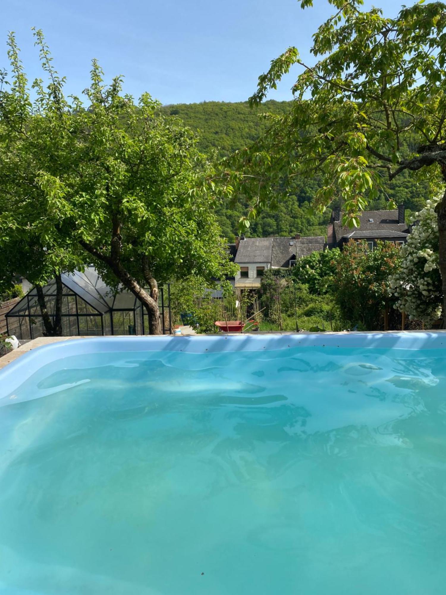 Pension Mit Moselblick Klotten Exteriör bild